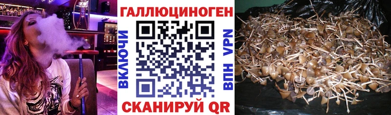 OMG tor  Устюжна  Галлюциногенные грибы ЛСД 